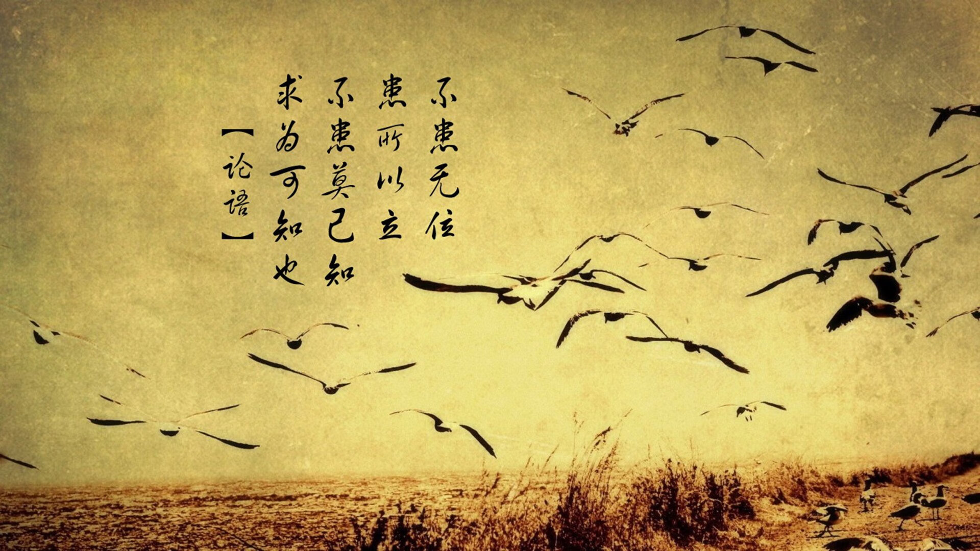 Dota 2 战队战术博弈引爆全场，dota2战略