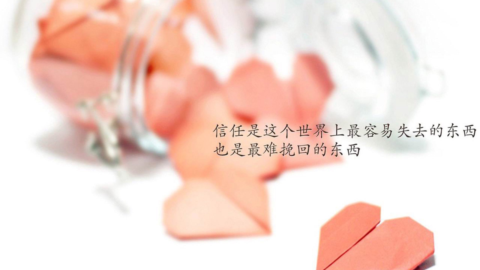 伊朗骑手阿里·巴赫蒂亚里在巴黎奥运会后宣布退役，结束辉煌的职业生涯。