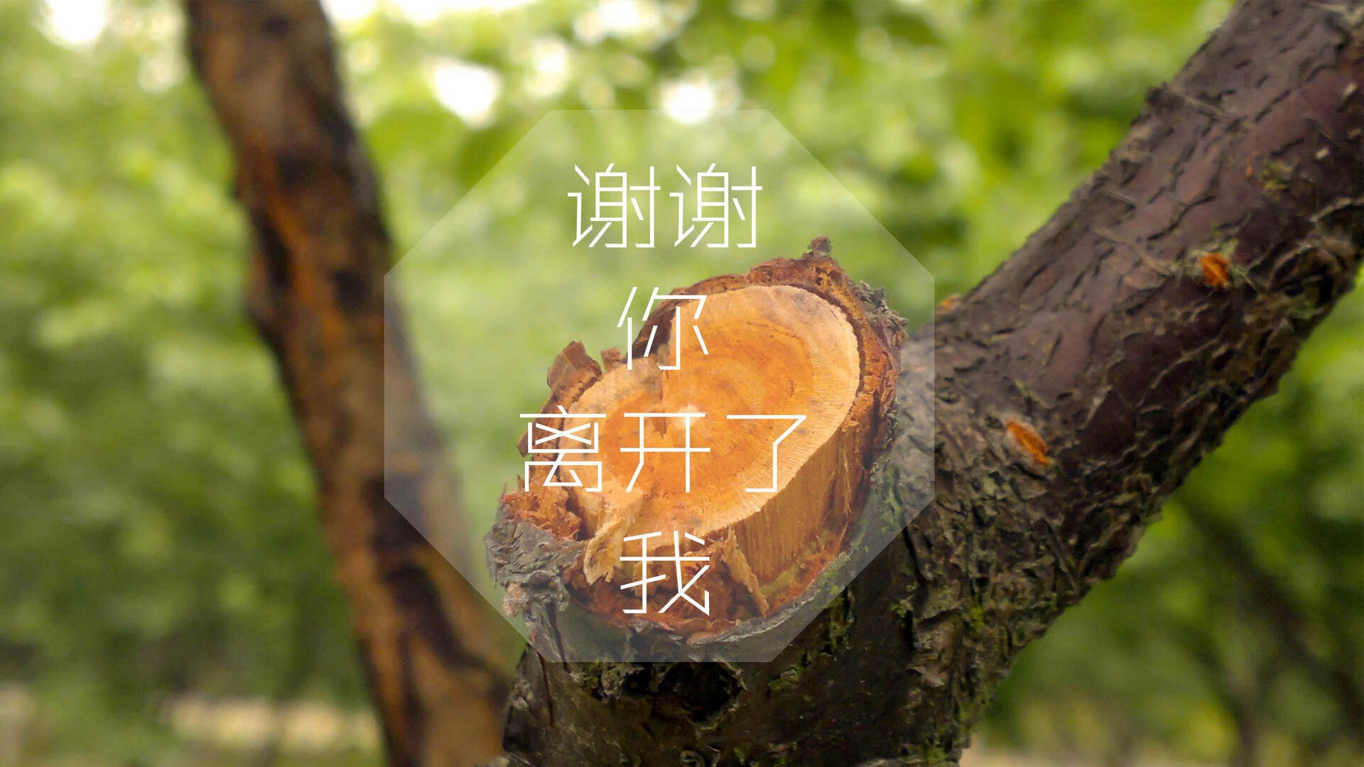 im体育官网登录-校园体育场馆管理智能化解决方案，体育场馆智能化设计方案