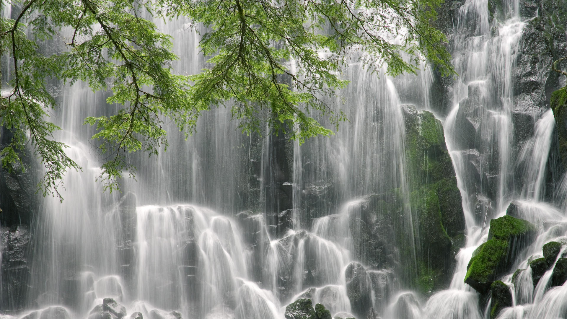 张雨霏混合泳泳姿优美，张雨霏游泳项目